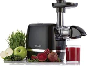 Omega H3000D Cold Press slowjuicer