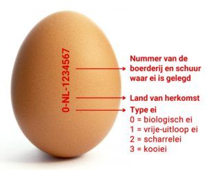 Gezonde tussendoortjes voor onderweg