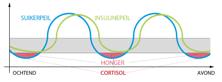 Insuline en bloedsuiker