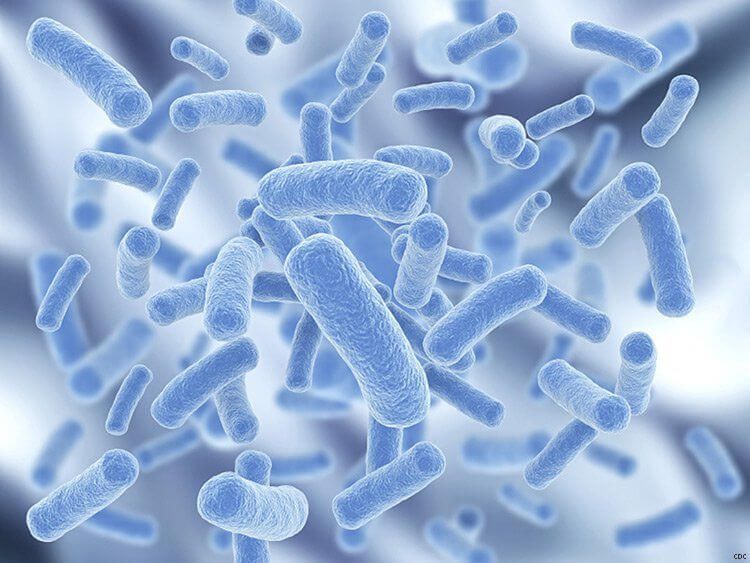 Probiotica supplement
