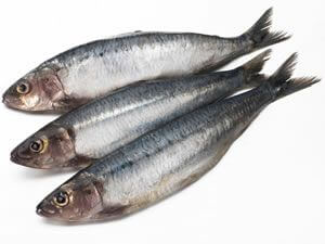 sardientjes