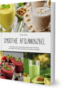 Smoothie Afslankbijbel cover