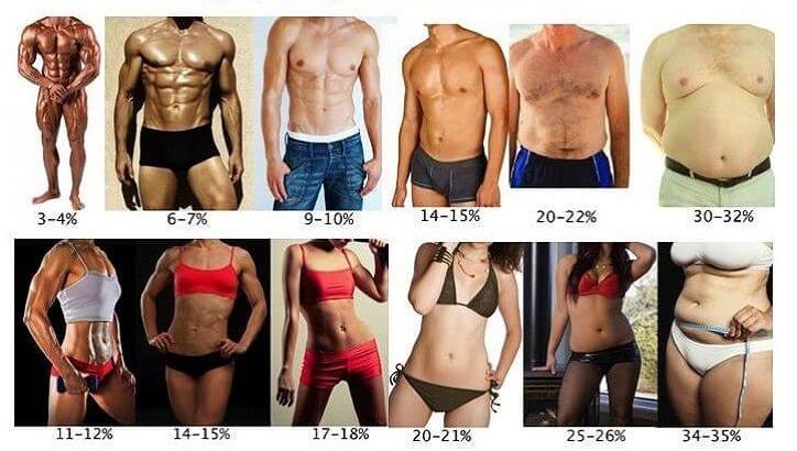 Verschillende vetpercentages bij mannen en vrouwen